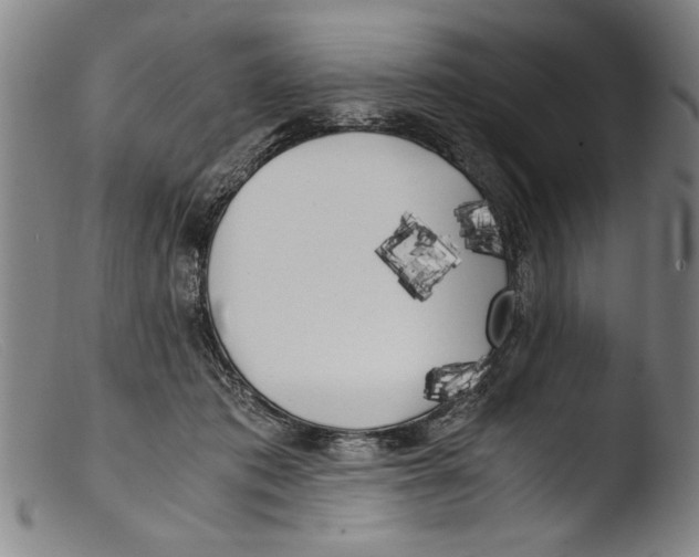 X0000103310413200809261341