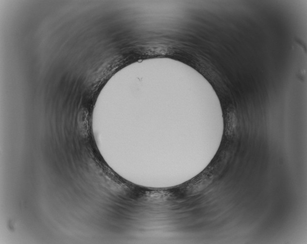 X0000103310414200809261341