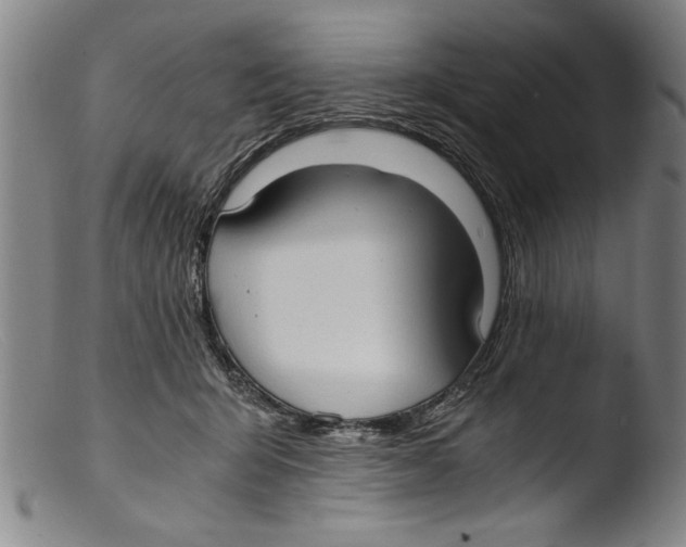 X0000103310415200809261341