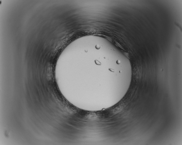 X0000103310416200809261341