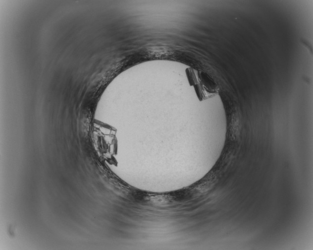 X0000103310417200809261341