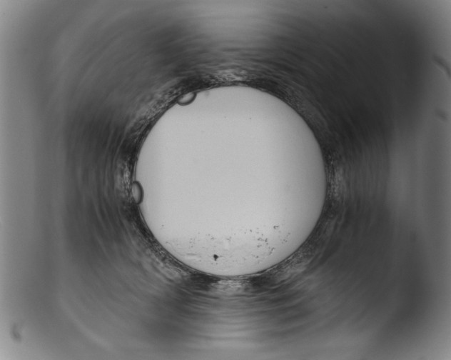 X0000103310418200809261341