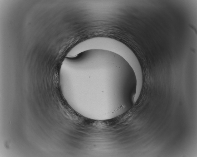 X0000103310419200809261341