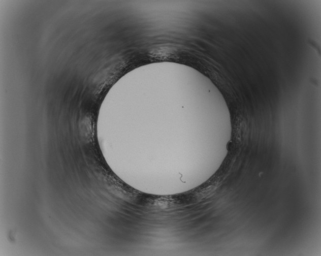 X0000103310420200809261341