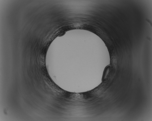 X0000103310421200809261341