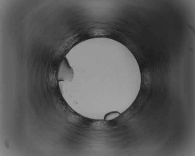 X0000103310422200809261341