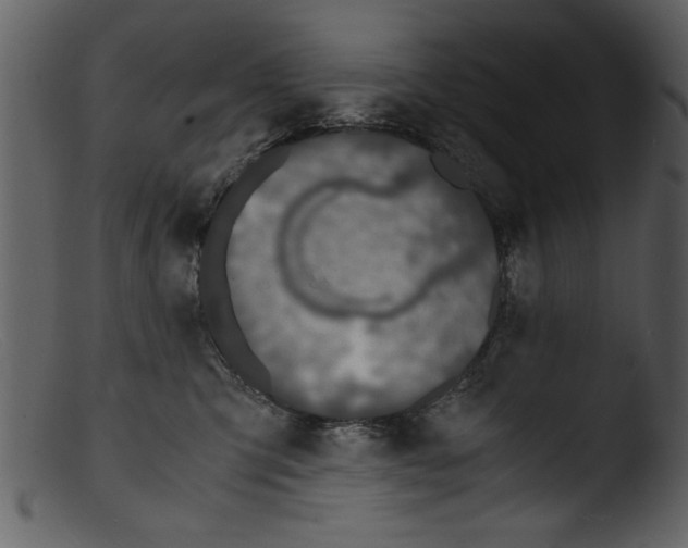 X0000103310423200809261341