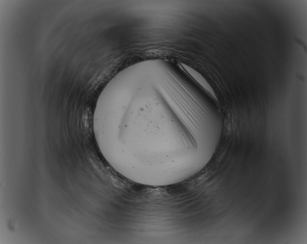 X0000103310424200809261341