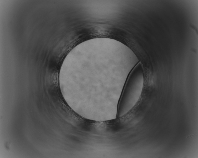 X0000103310425200809261341