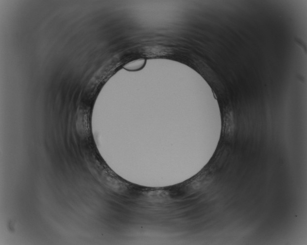 X0000103310426200809261341