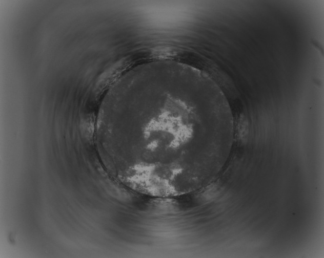 X0000103310427200809261341