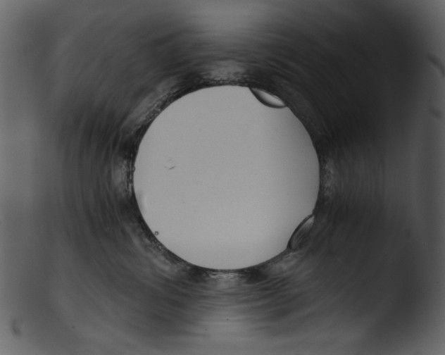 X0000103310428200809261341