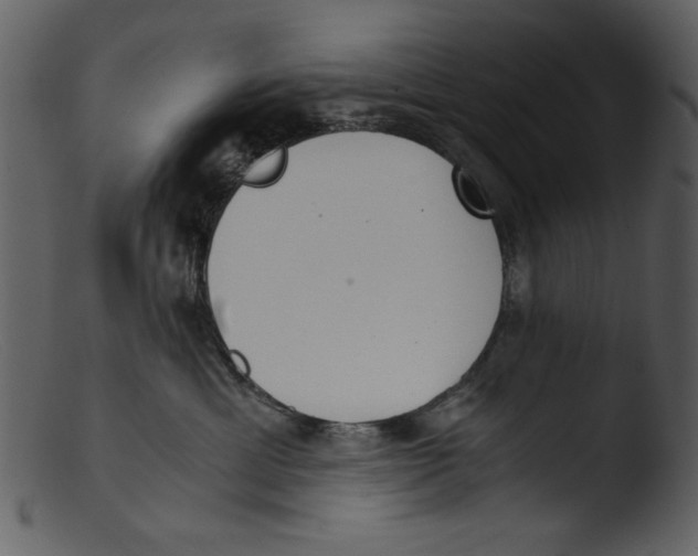 X0000103310429200809261341