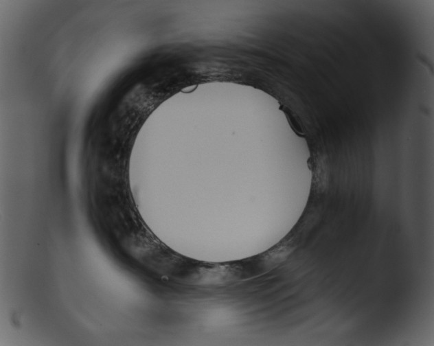 X0000103310430200809261341