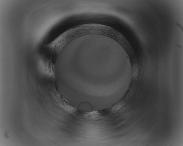 X0000103310431200809261341