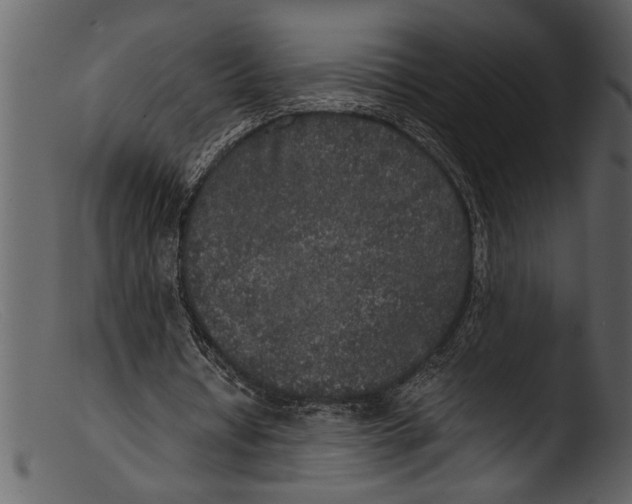 X0000103310434200809261340