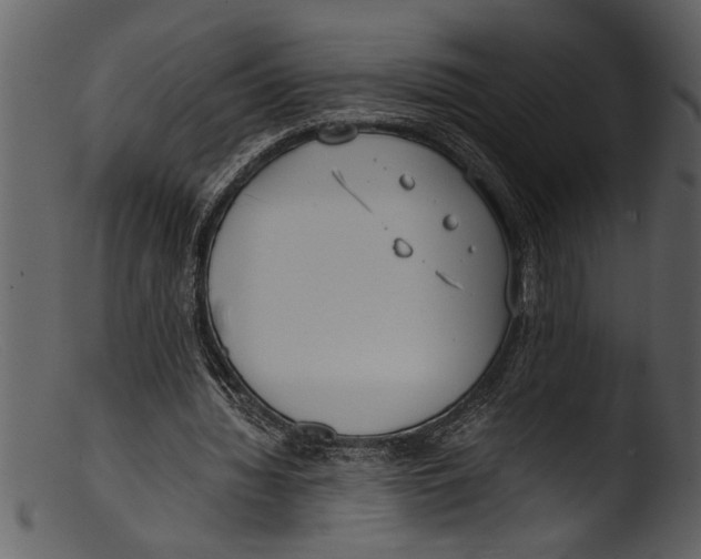 X0000103310436200809261340