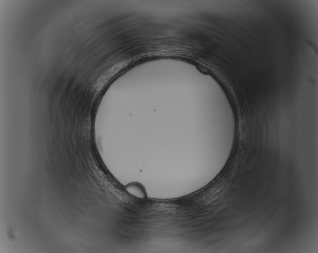 X0000103310437200809261340