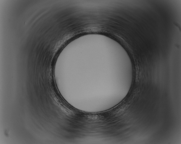 X0000103310439200809261340