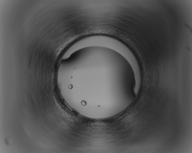 X0000103310444200809261340