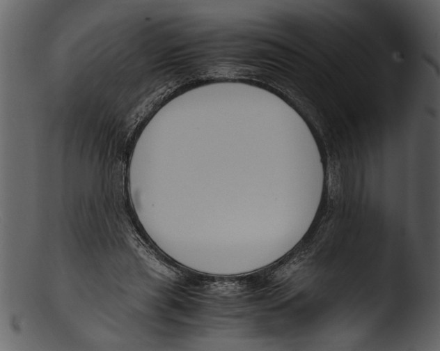 X0000103310445200809261340