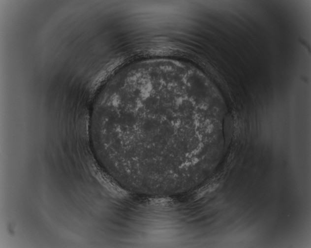 X0000103310446200809261340