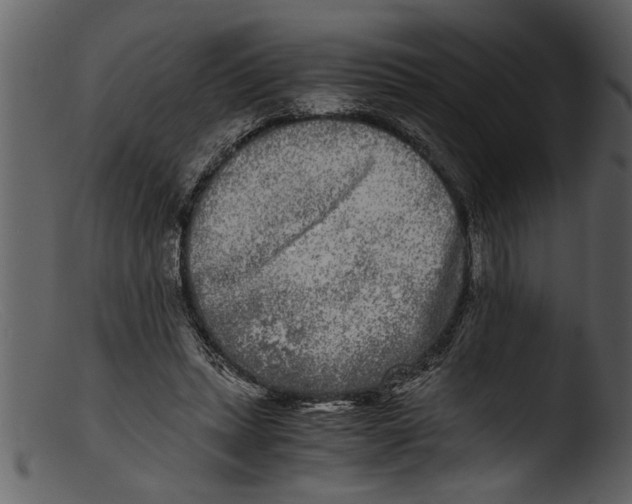 X0000103310447200809261340