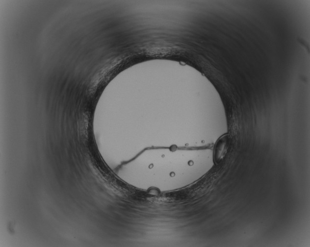 X0000103310448200809261340