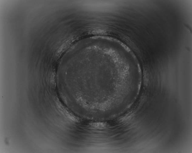 X0000103310449200809261340