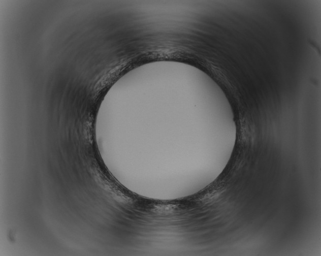 X0000103310450200809261340