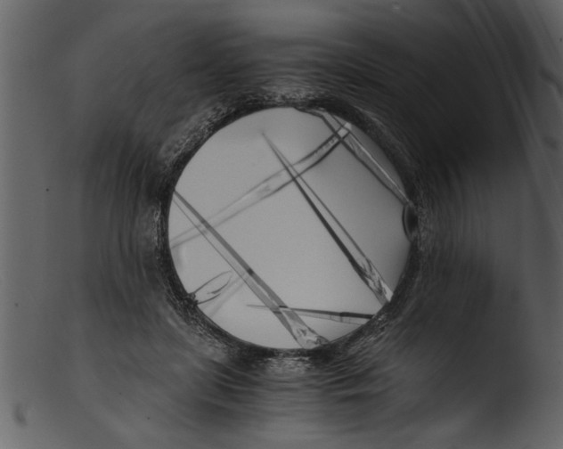 X0000103310451200809261340