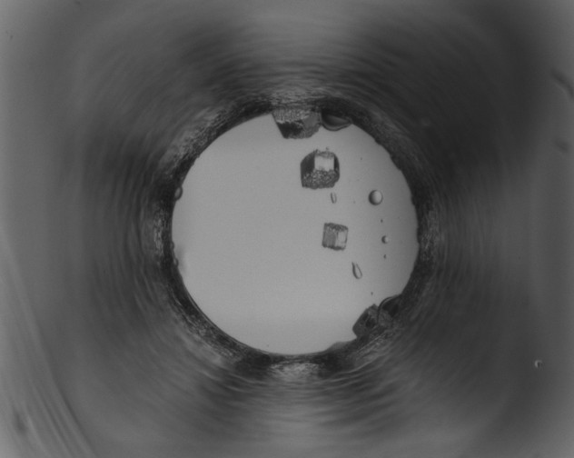 X0000103310452200809261340