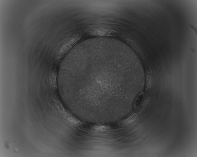 X0000103310453200809261340