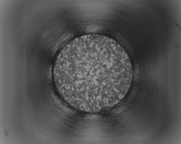 X0000103310454200809261340