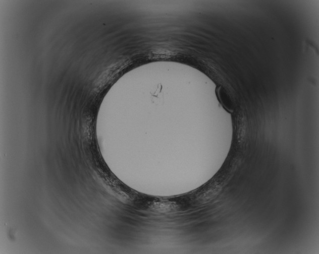 X0000103310455200809261341