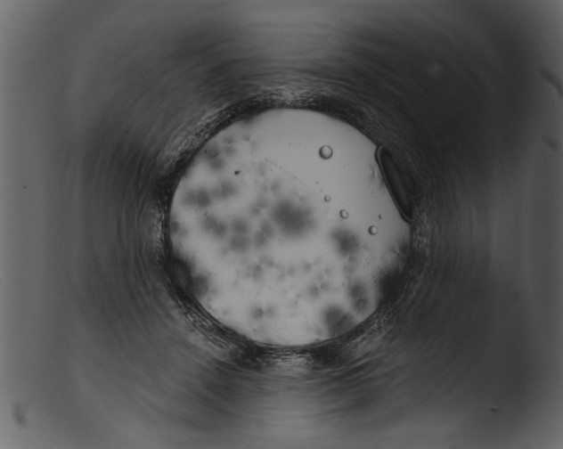 X0000103310456200809261341