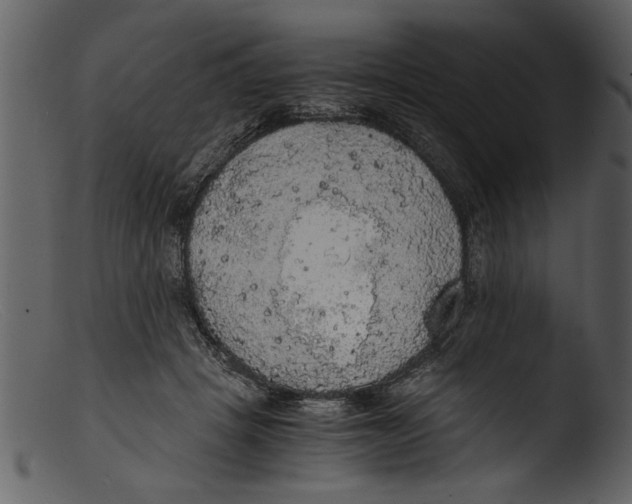 X0000103310457200809261341