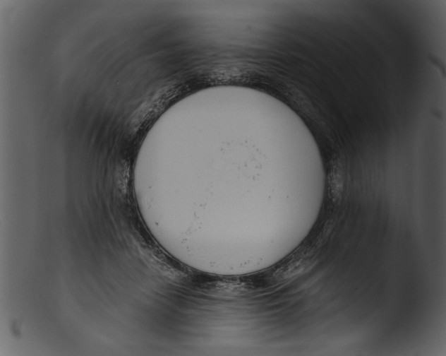 X0000103310458200809261341