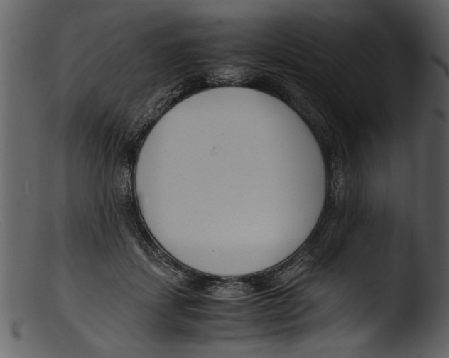 X0000103310459200809261341