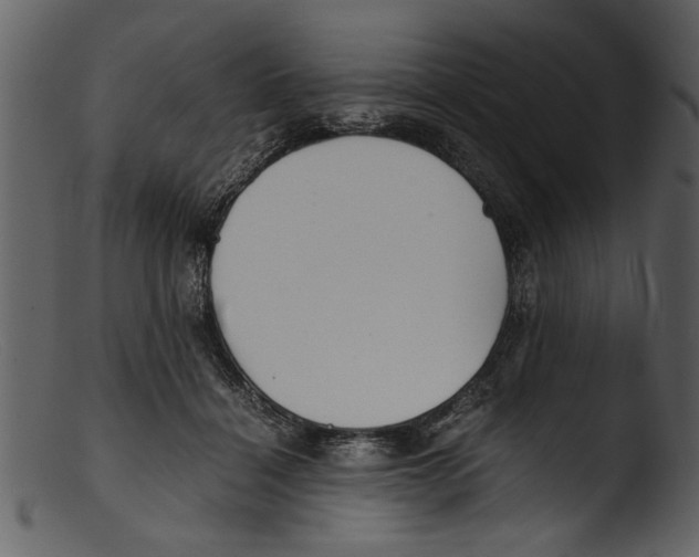 X0000103310460200809261341