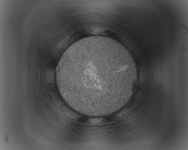 X0000103310461200809261341