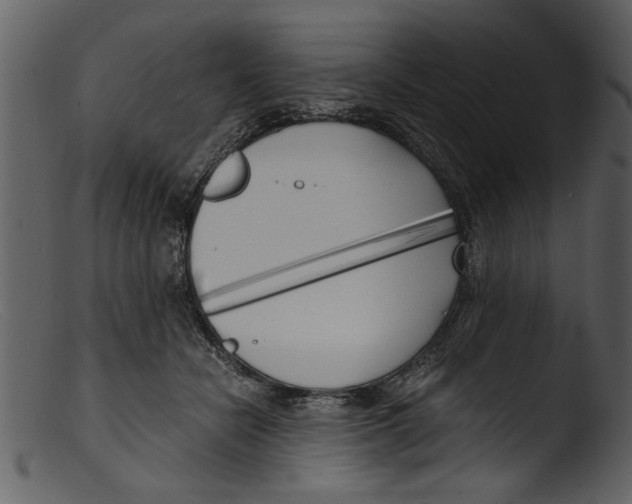 X0000103310462200809261341