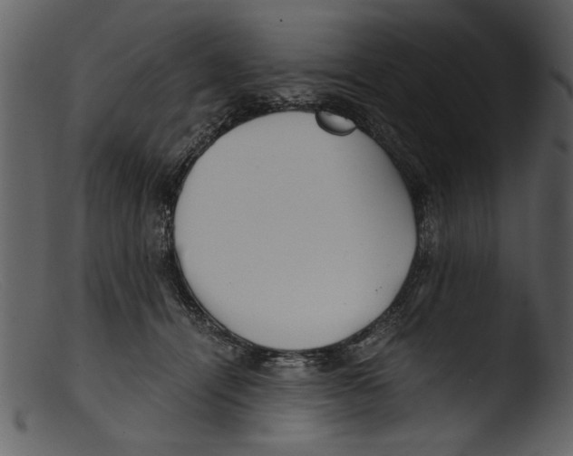 X0000103310464200809261341