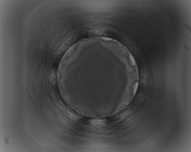 X0000103310465200809261341