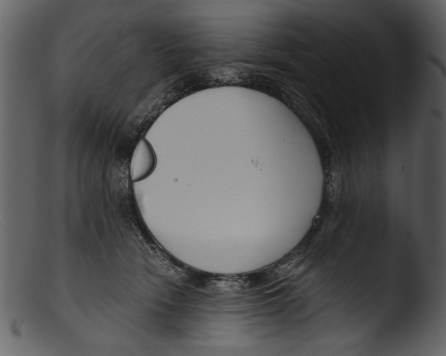 X0000103310466200809261341