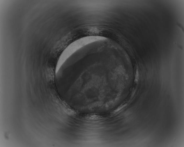 X0000103310467200809261341