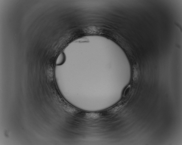 X0000103310469200809261341