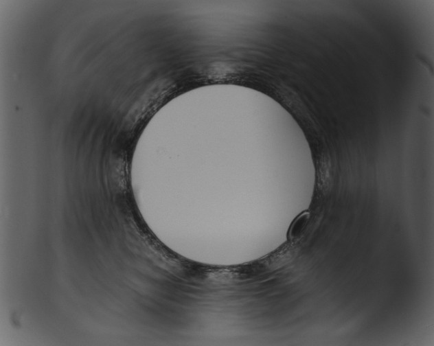 X0000103310470200809261341