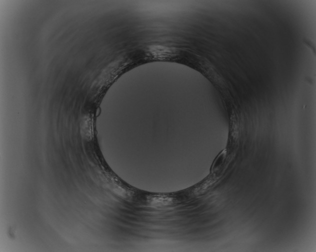 X0000103310471200809261341