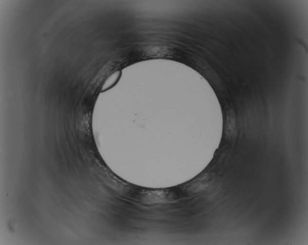 X0000103310473200809261341